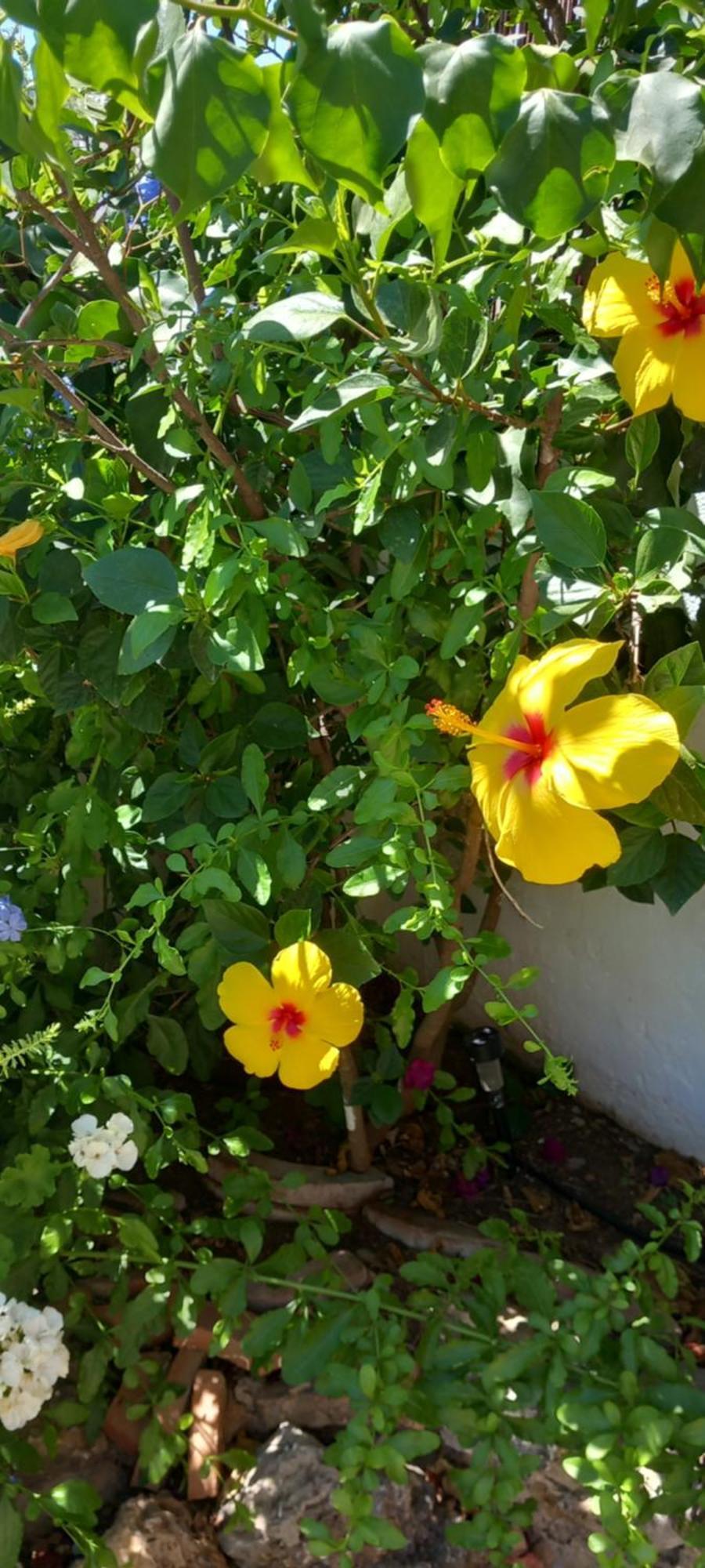 אלגודונאלס La Posada De La Muela מראה חיצוני תמונה