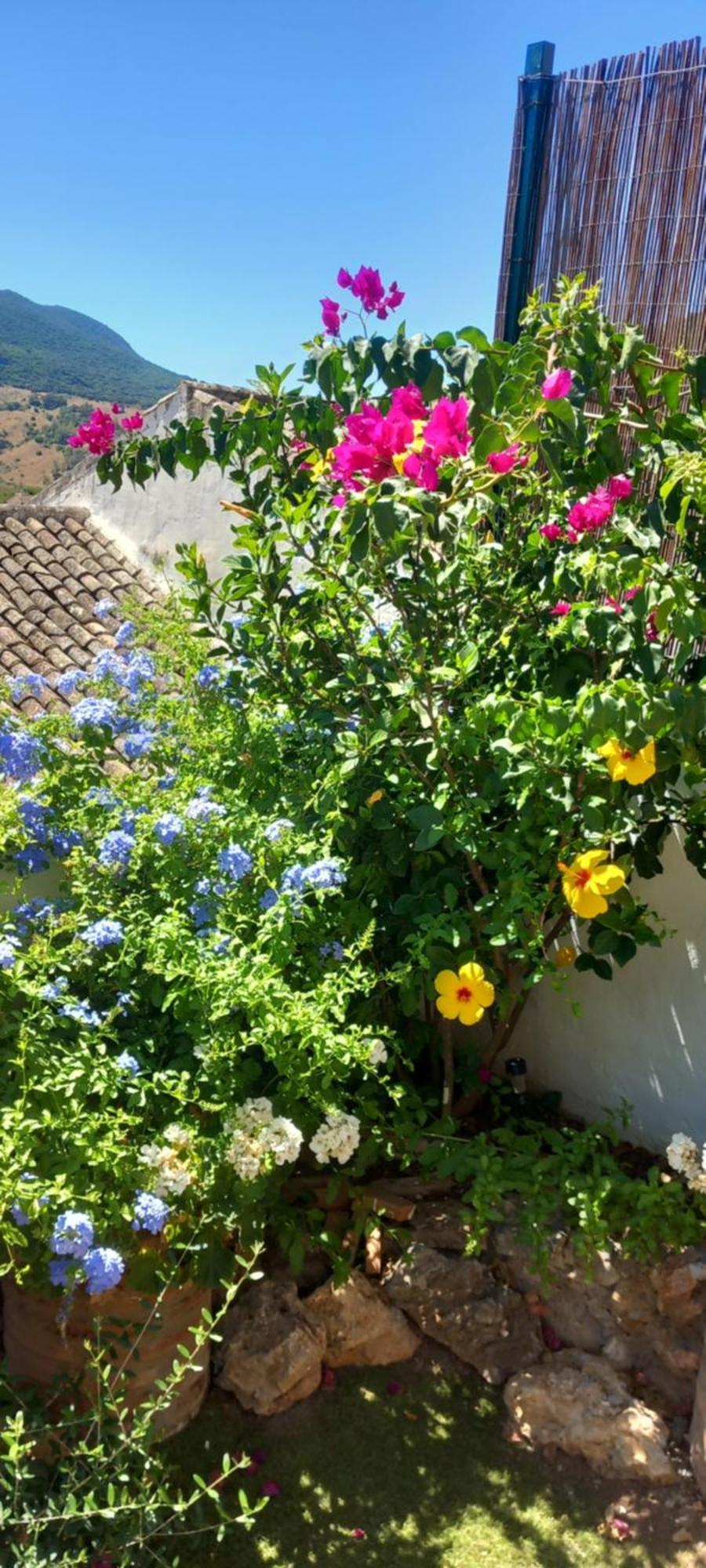 אלגודונאלס La Posada De La Muela מראה חיצוני תמונה